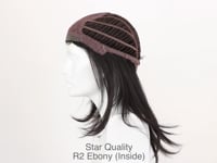 Star Quality R2 Ebony (inside)