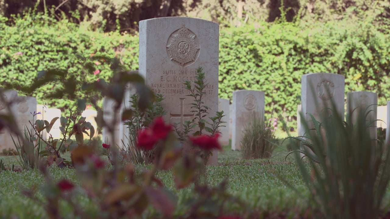 BBC News - World War One Centenary - The Impact on the Middle East
