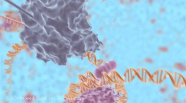 BioMedical Animation Demo Reel on Vimeo