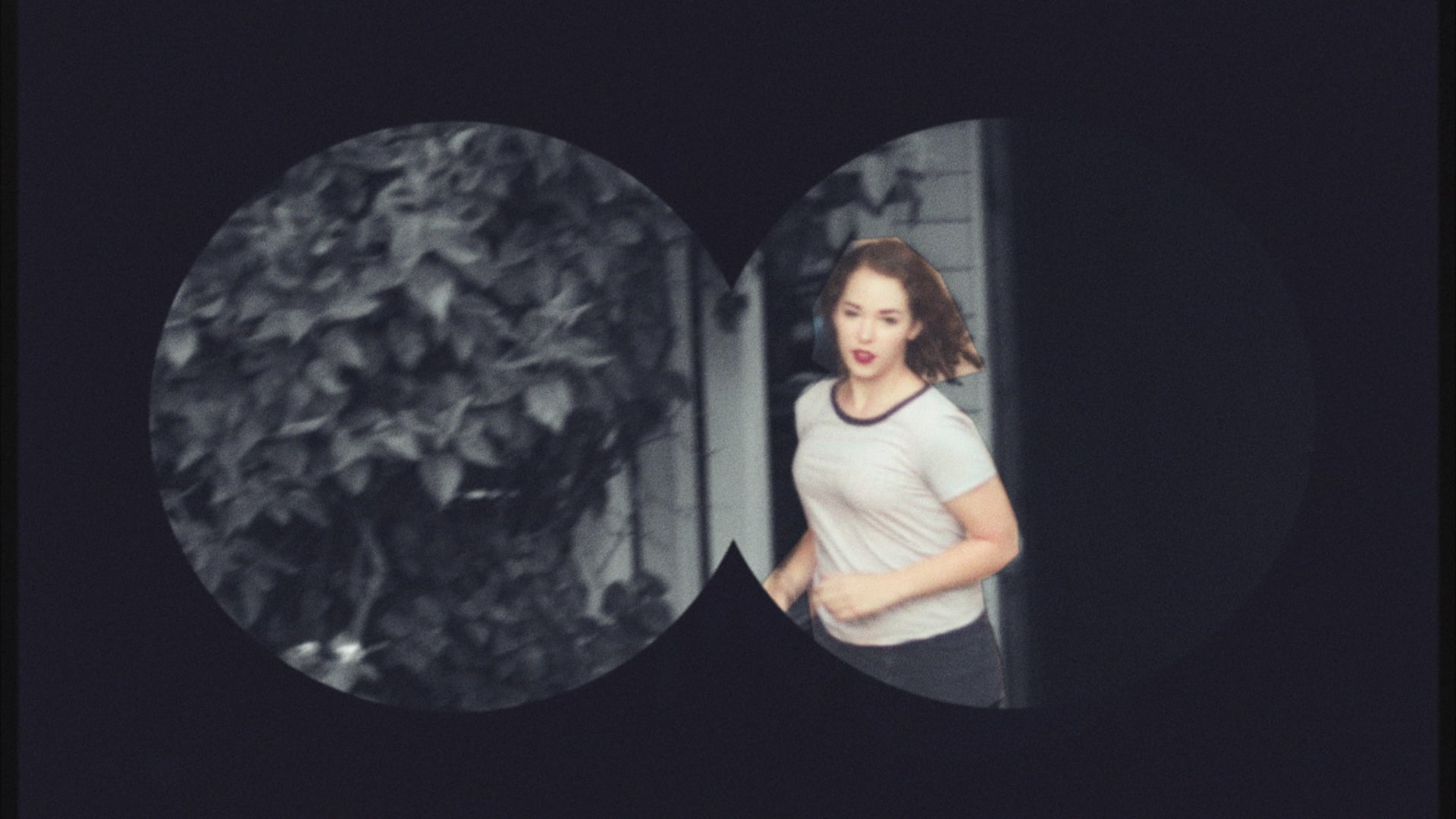 Wild Powwers - "Well, Shit" (Official Music Video)