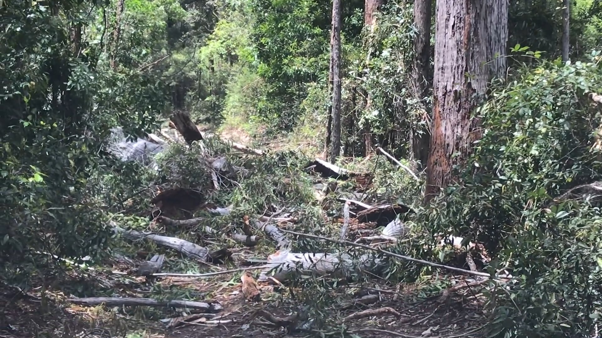 Todd Weatherly - November 11, 2018 (morning)