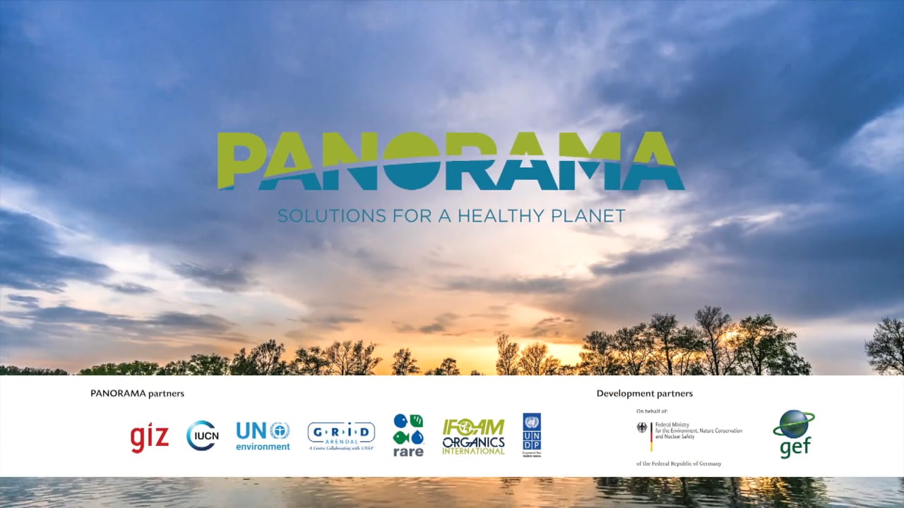 PANORAMA – Solutions for a Healthy Planet: Promoting what works