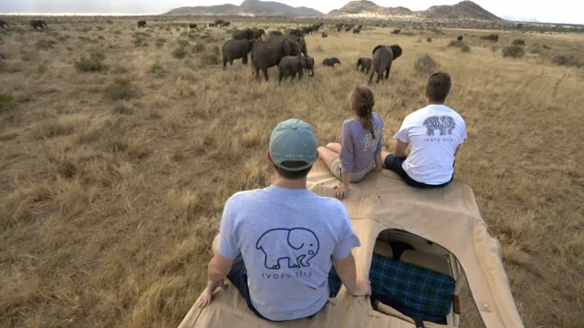 Ivory Ella® Official Site - Elephant Clothing & More For A Cause