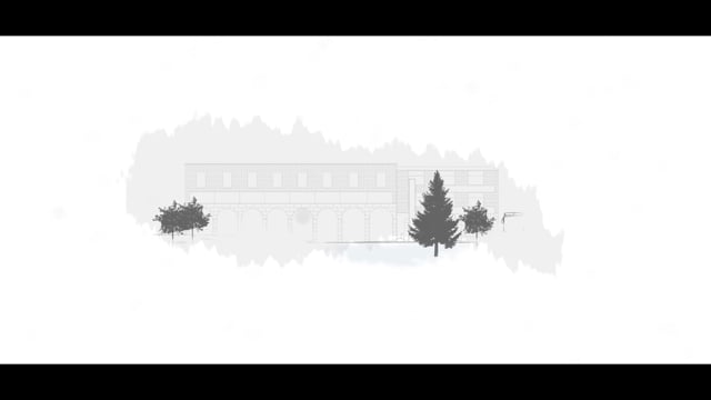 Bosque de historias