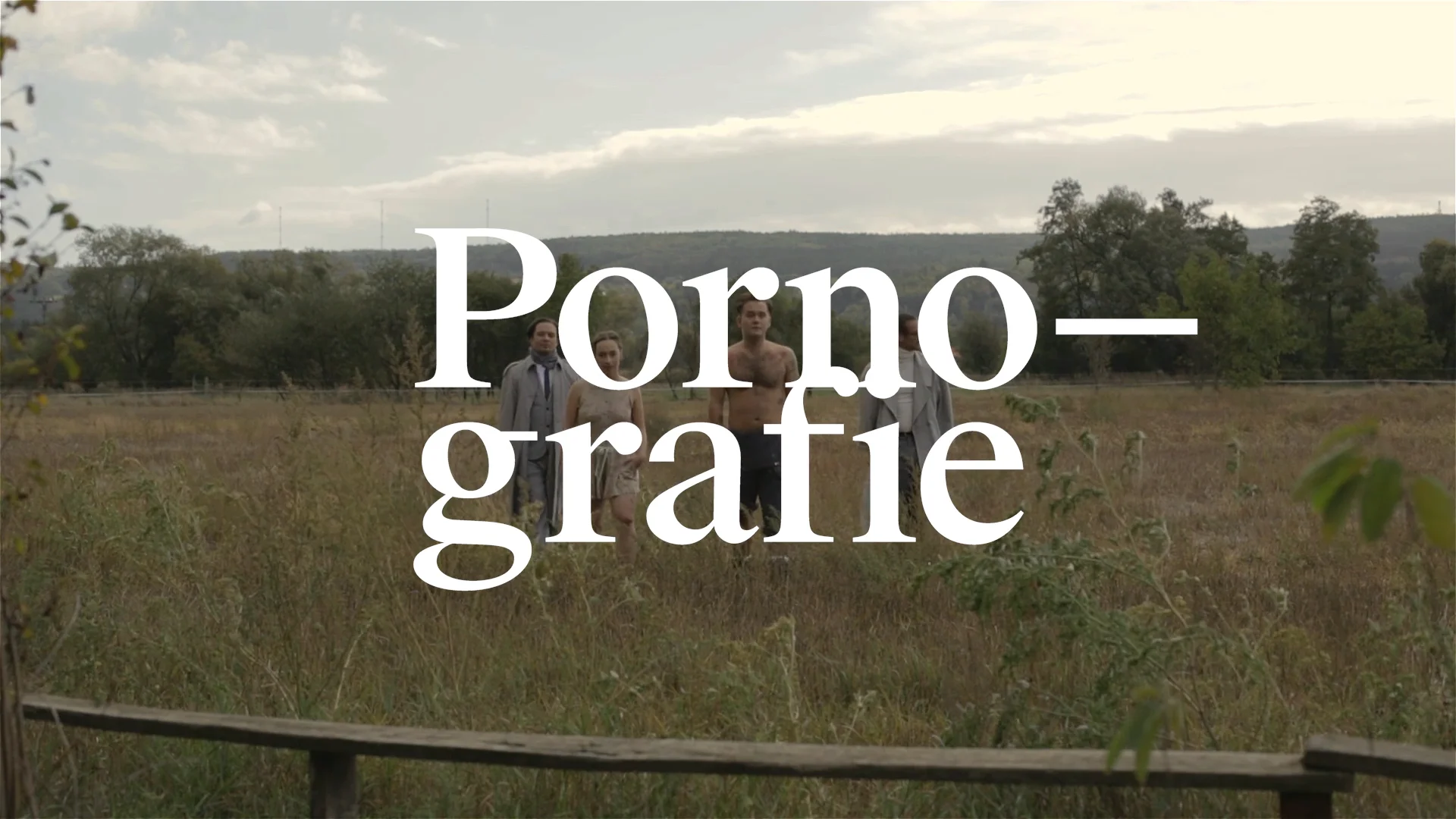 Witold Gombrowicz: Pornografie