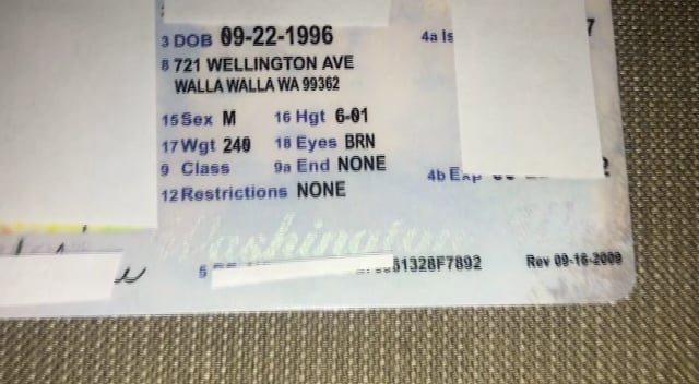Id Viking Fake Id Review
