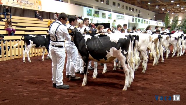 Xatas de 6 a 8 meses