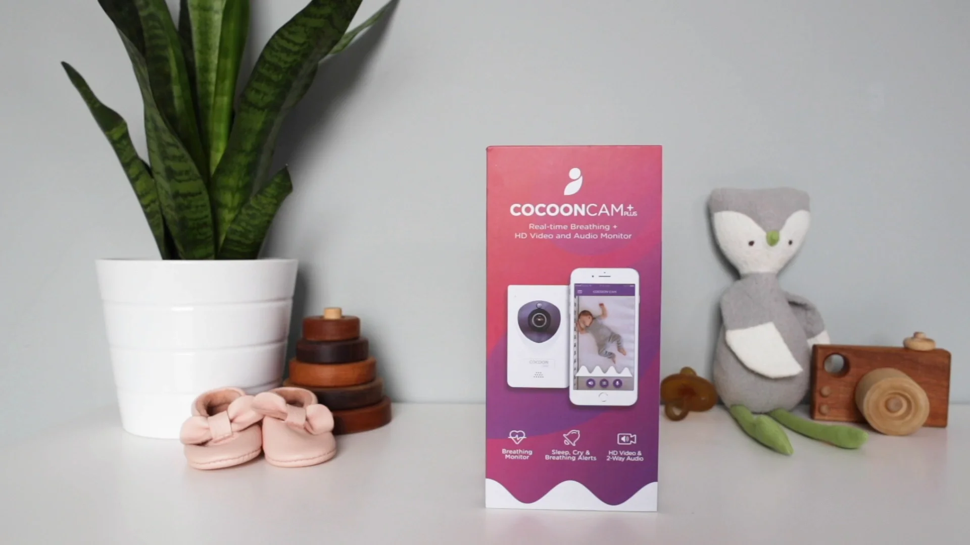 Cocoon cam subscription sales cost