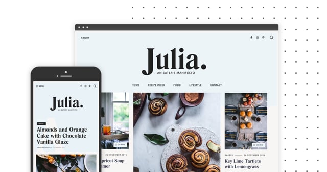 JULIA WordPress Theme - Customization Options Demo