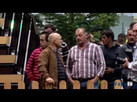 Novillas de 14 a 17 meses