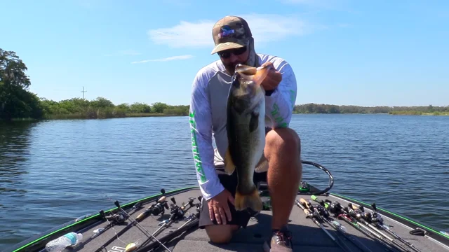 Largemouth Bass - Fishing for Suspended Fish