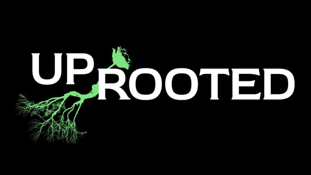 Uprooted