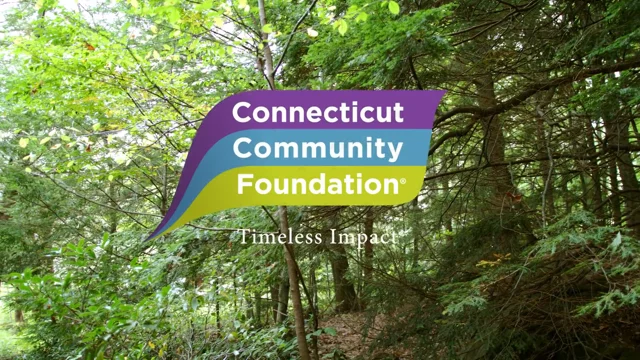 What We Do - Connecticut Community Foundation