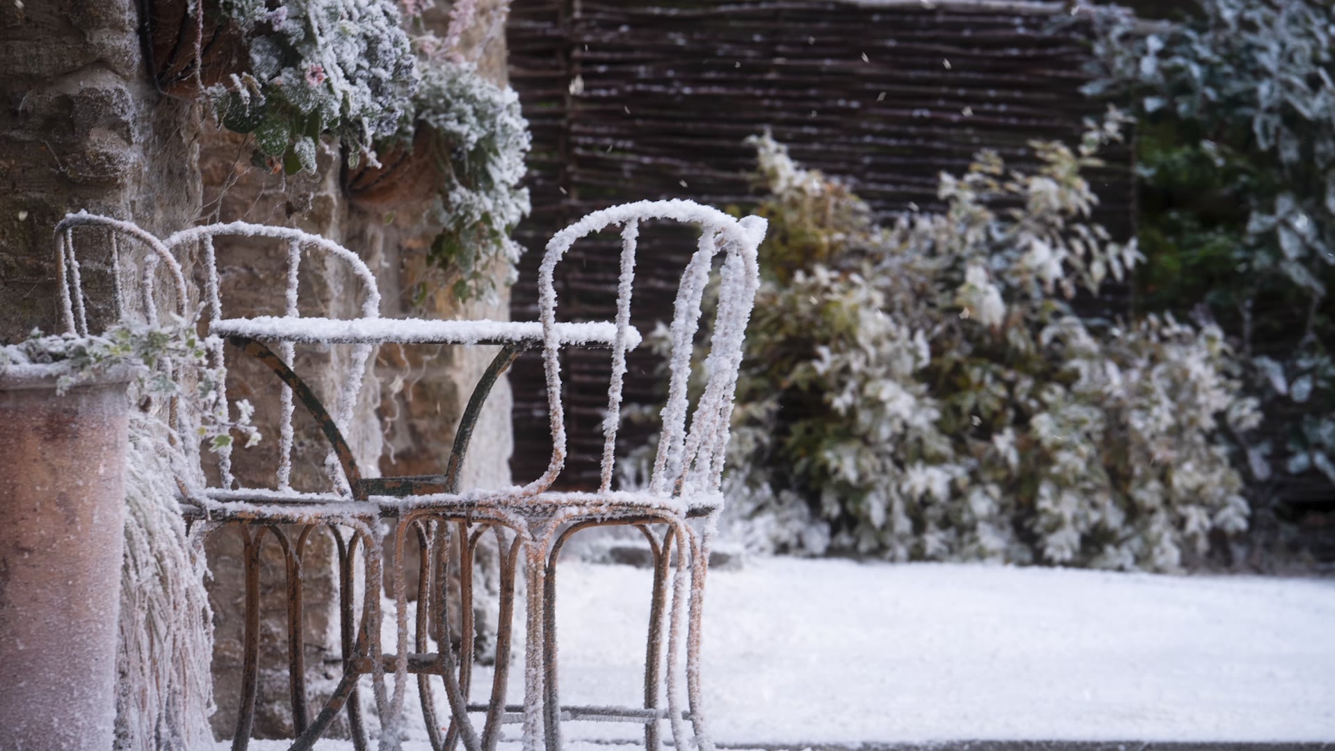 Congrove Christmas Snow