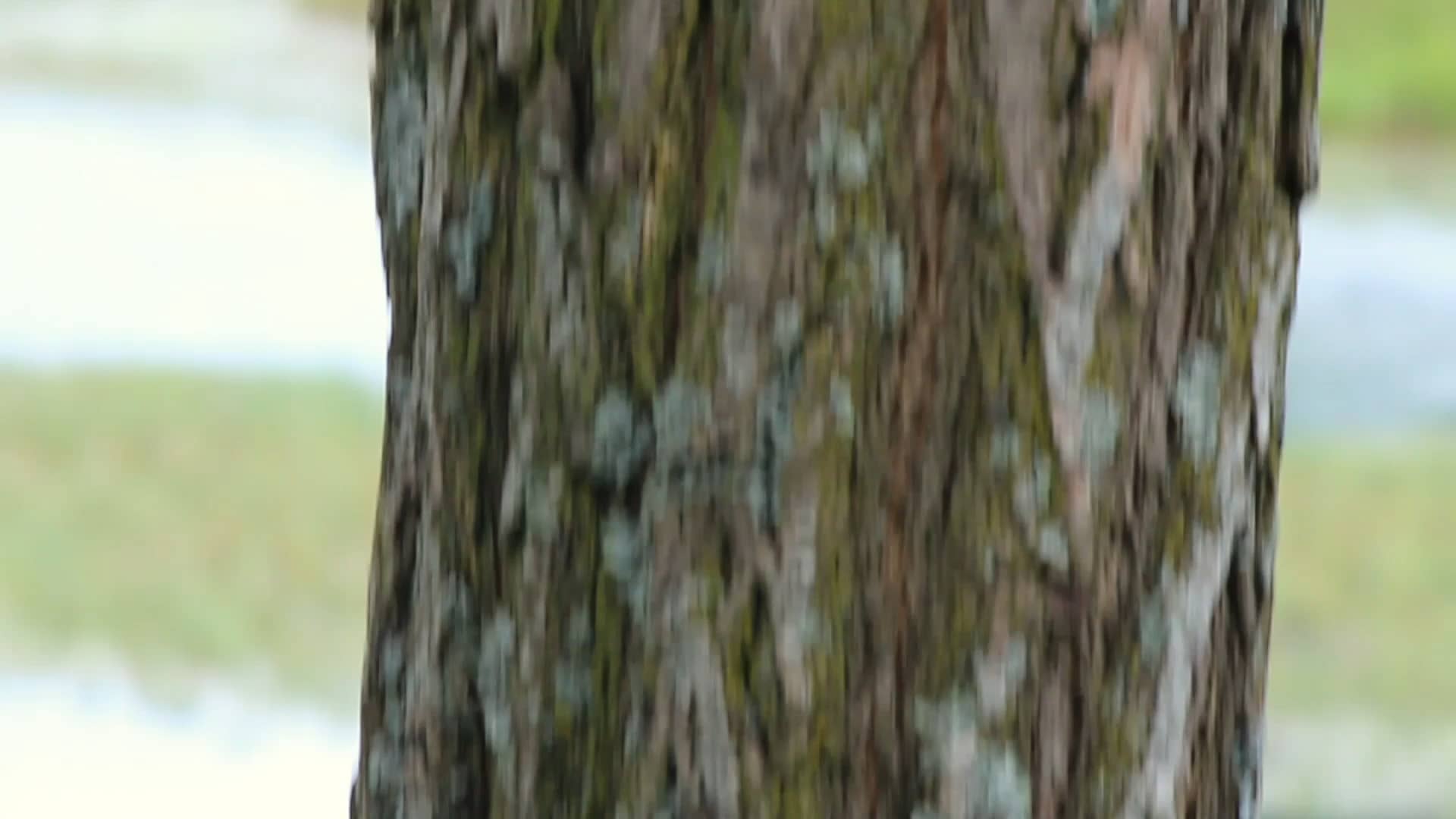 Dougherty_Kendra_DemoReel on Vimeo