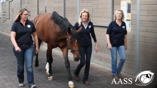 introduction to the Academy of Animal Sport Science