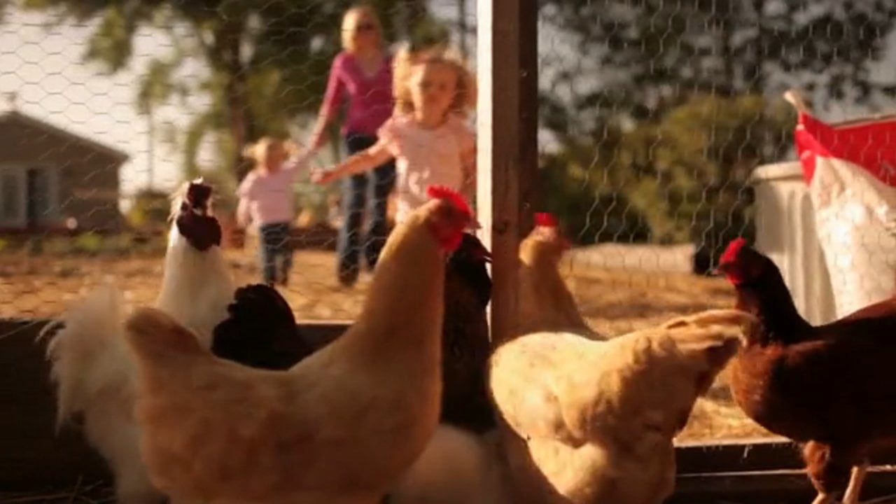 Farm Supply Commercial- Moore Family, SLO