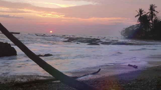 LifeCut: Costa Rica 2018