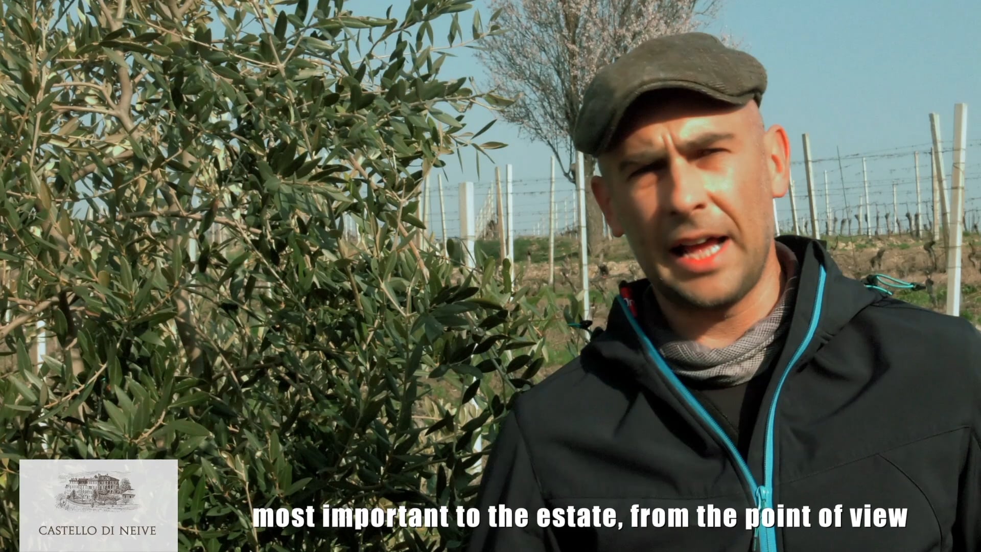 Campionamenti vigneti | Geological project of the Santo Stefano vineyard