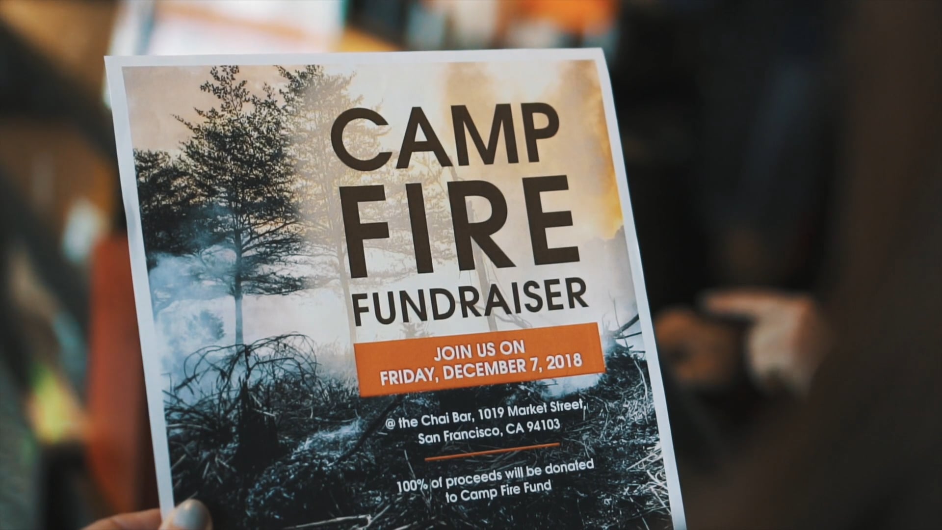 Camp Fire Fundraiser | Chai Bar SF + IFAW