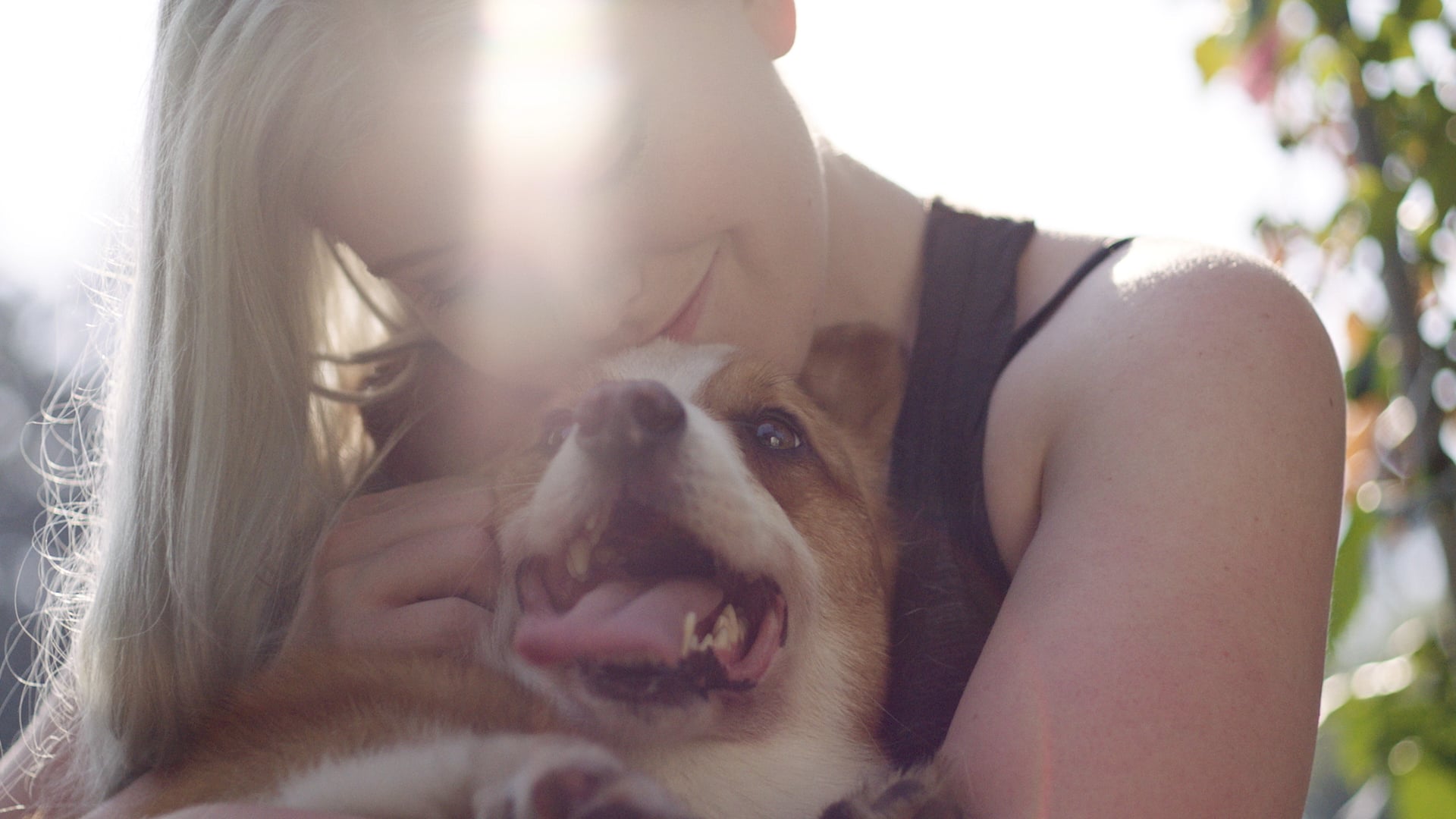 Hannah Pet Society - Your Best Friend