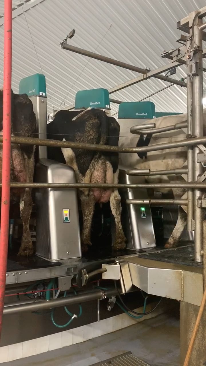 Tech on deck at Marrs Milky Way Dairy on Vimeo