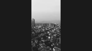 Aperitivos de diseno estudio