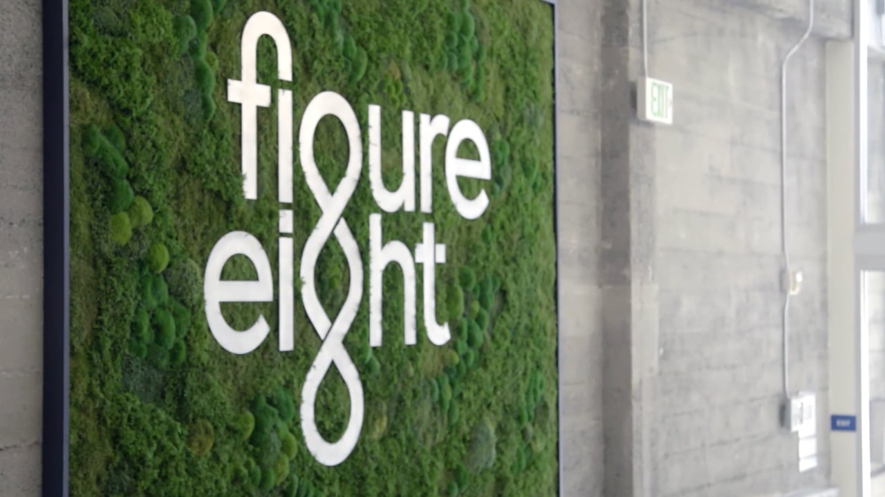 Figure 8