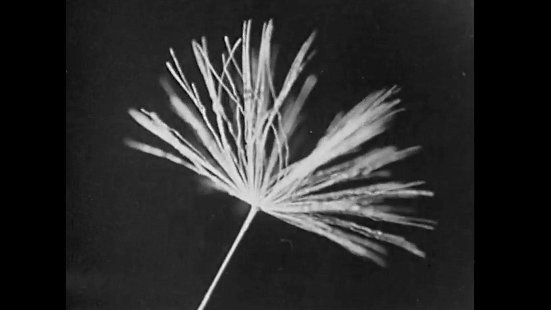 Episode 8 - April 13th