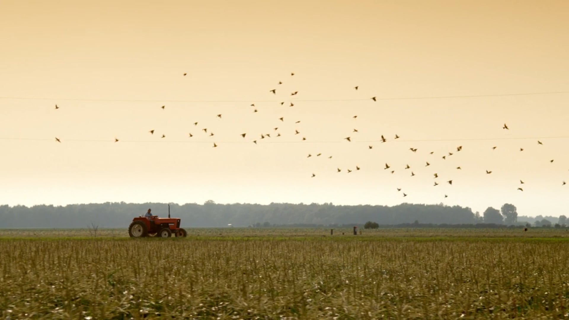 Walmart Local Produce Growers Stories