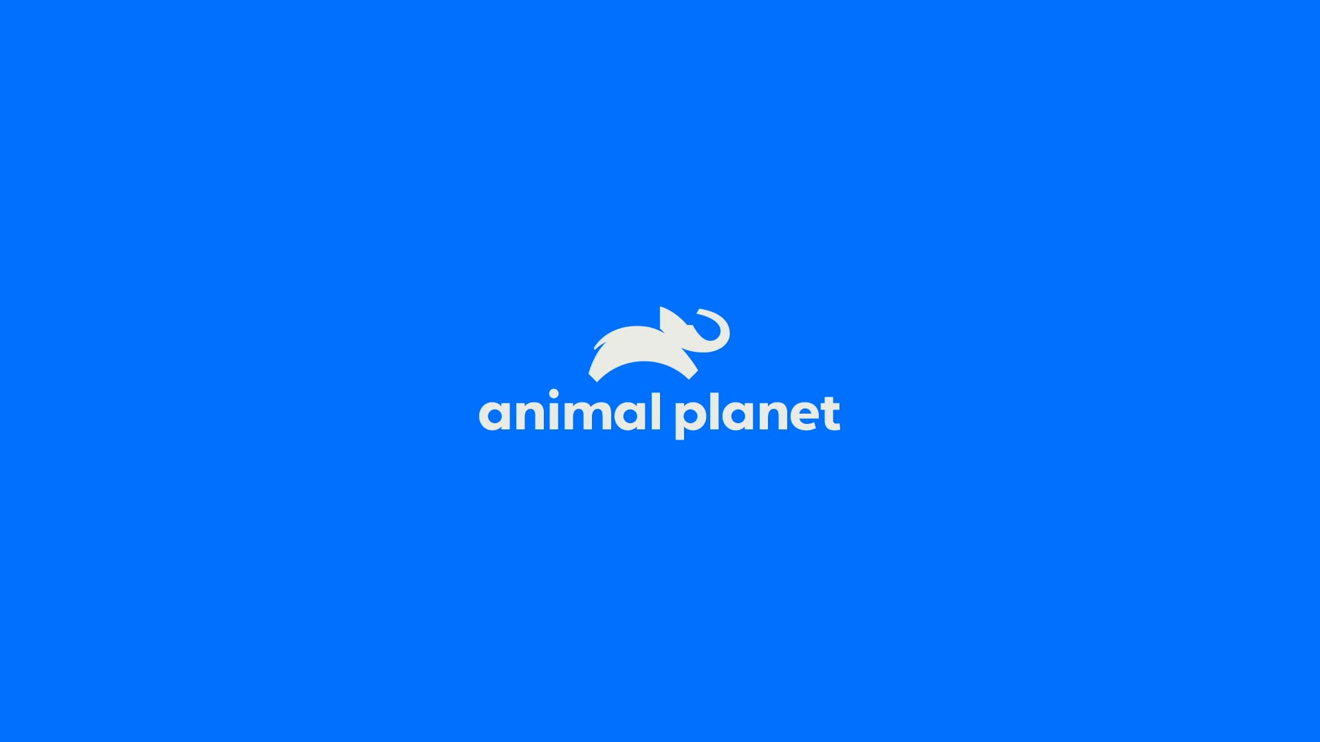 Animal Planet Channel Branding on Vimeo