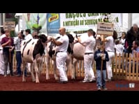 Mejor conjunto joven