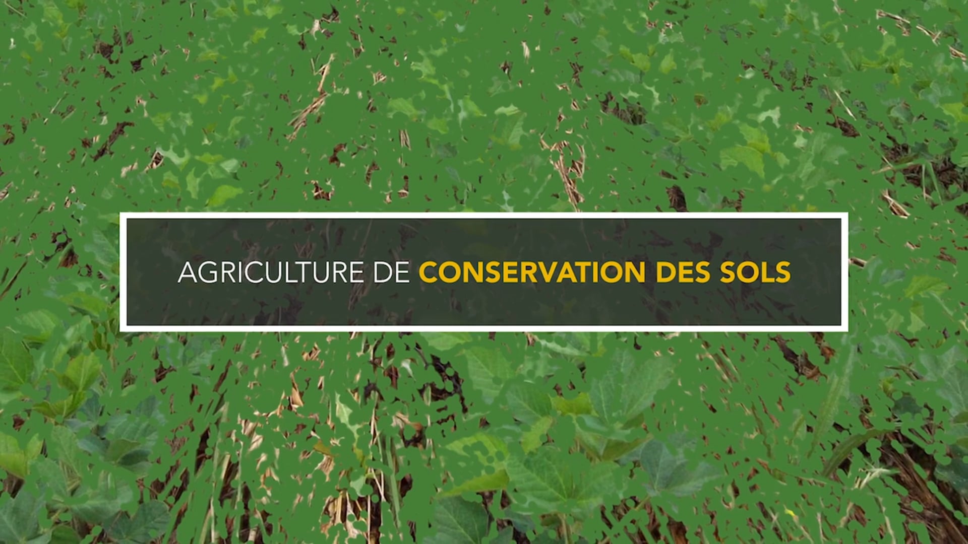 Alain de Scorraille - Atelier ACS en Grandes Cultures