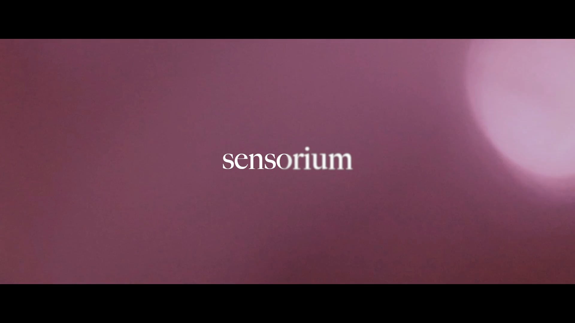 sensorium
