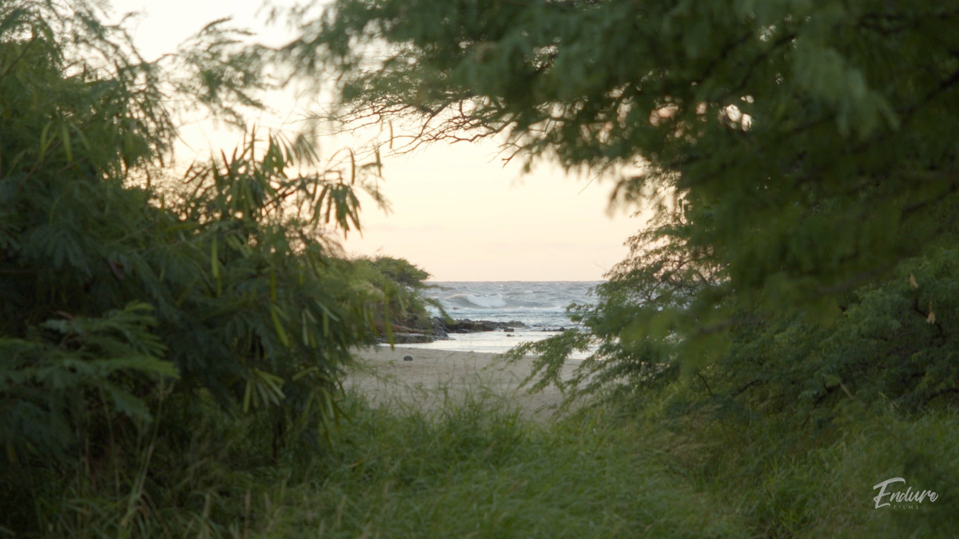 Alan Davis Beach : Nature Film