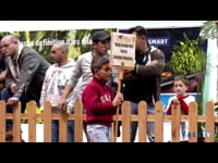 Mejor conjunto de vacas