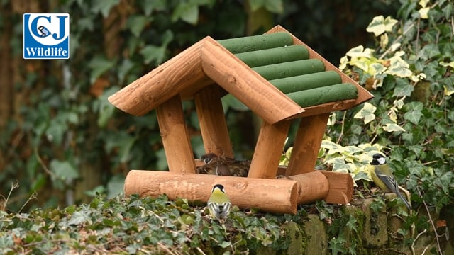 Bird Table Seed Mix