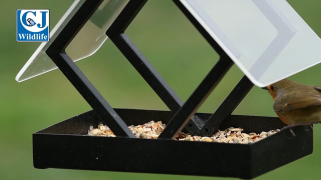 CJ Wildlife Darwin Seed Feeder