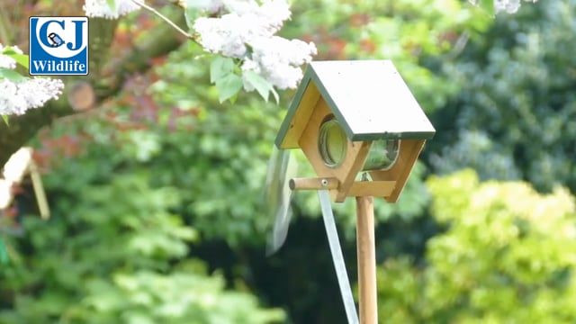 Cork Peanut Butter Bird Feeders