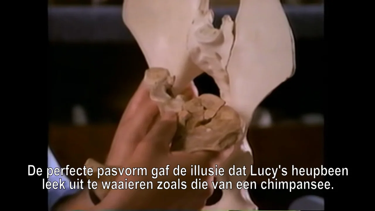 Vivo 3 vmbo-gt_hfst2_inkijkexemplaar by ThiemeMeulenhoff - Issuu, image size:1280x720