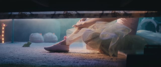 Unimed Fortaleza: Bailarina | Acesso