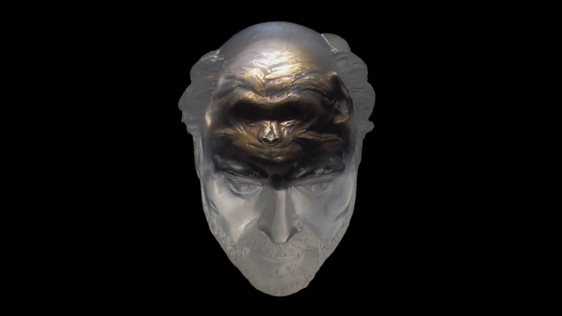 Echo on Vimeo