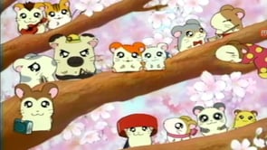 Hamtaro On Vimeo