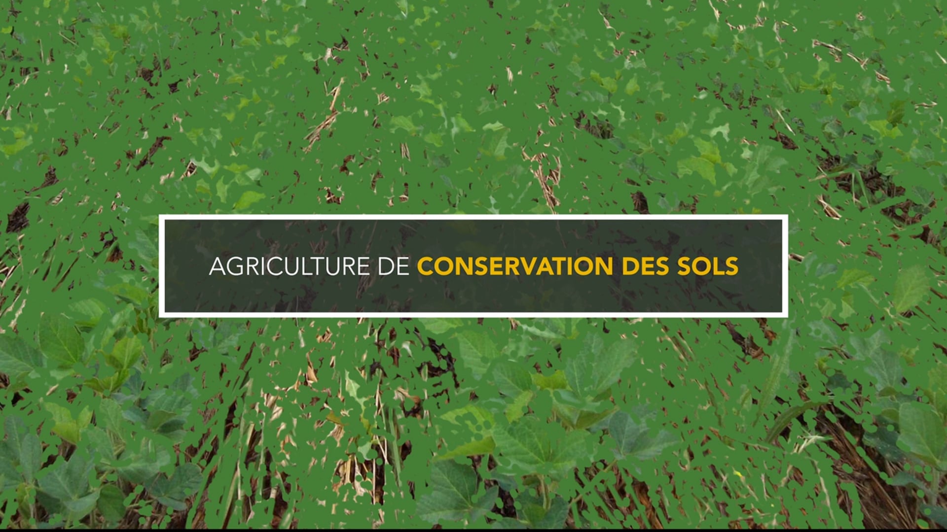 Michaël Bourrassol - Atelier ACS en Viticulture