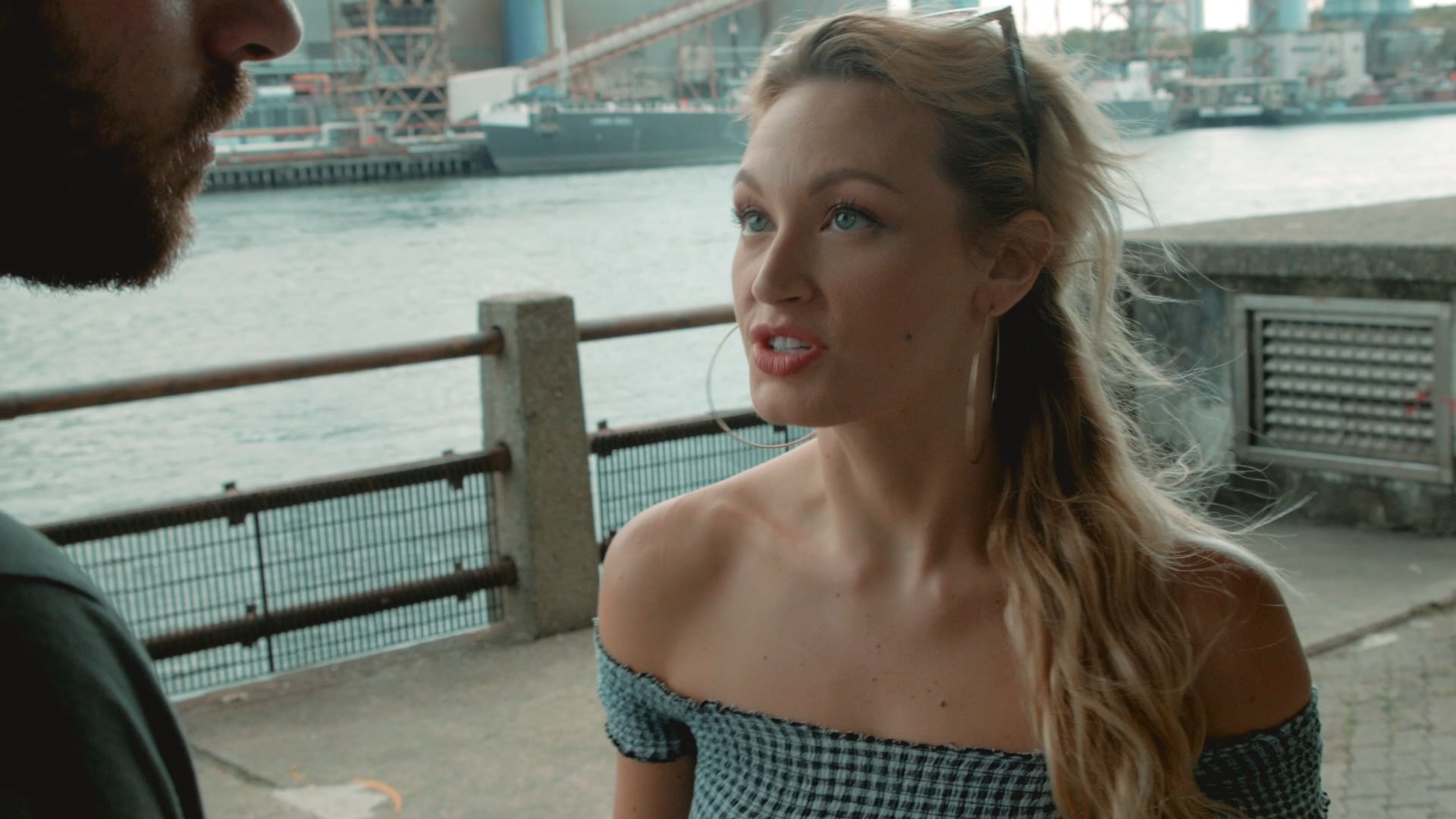 Blue collar - Netflix/Indie show