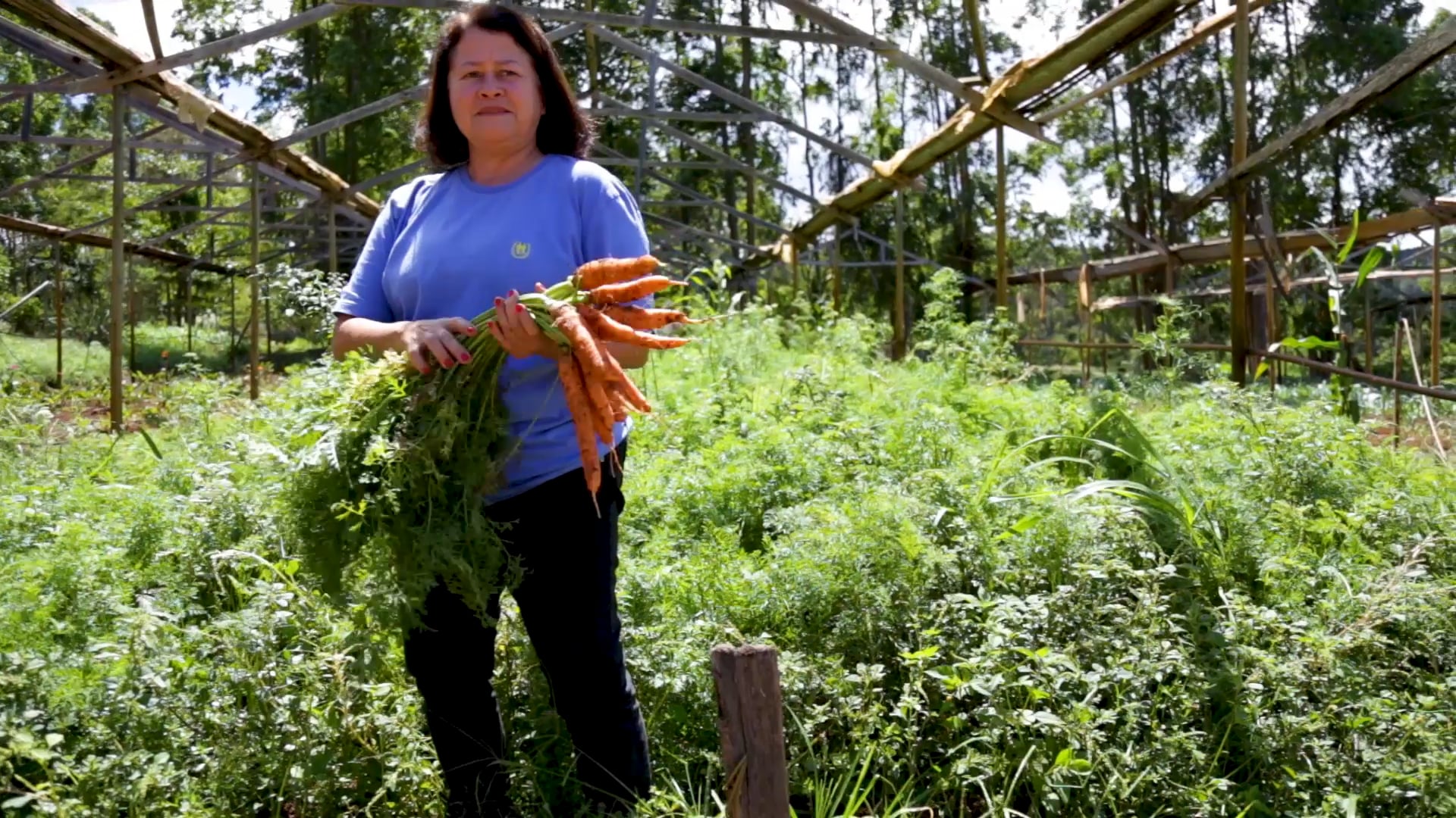 Juntos Somos Mais > Episódio piloto