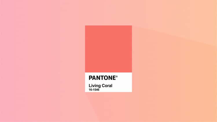 Pantone Color of The Year 2019: Living Coral