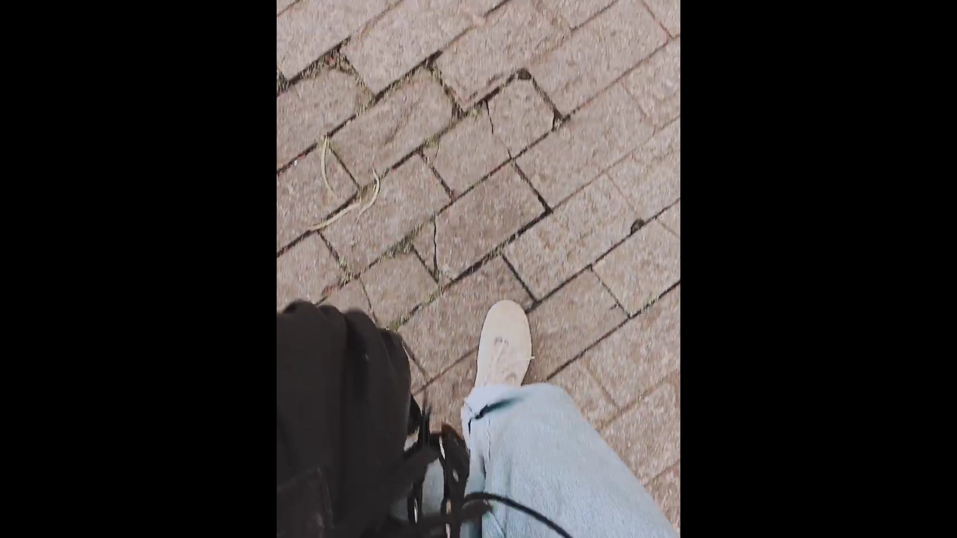 série Caminhadas, vídeo 8, parte 2