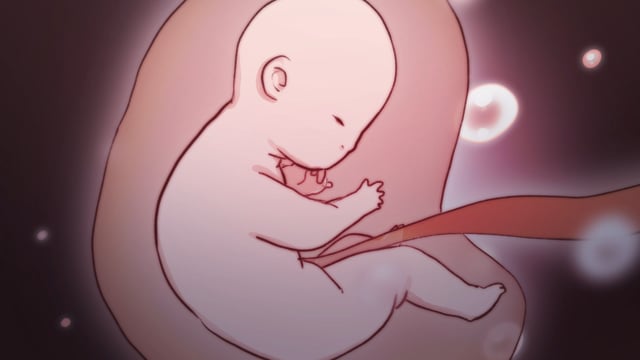 Living Things - 2D animation Assignment