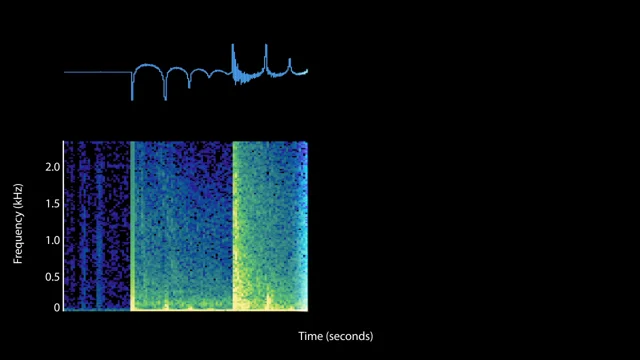 Explosive Sound Sources – Discovery of Sound in the Sea